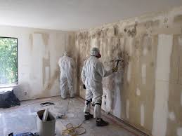 Best Black Mold Removal in Castle Pines, CO